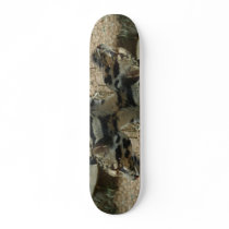 Clouded Leopard board skateboards