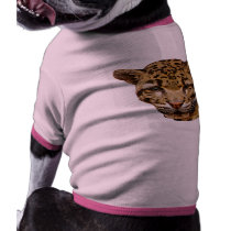 Clouded Leopard pet clothing by kphotos Clouded Leopard pet clothing