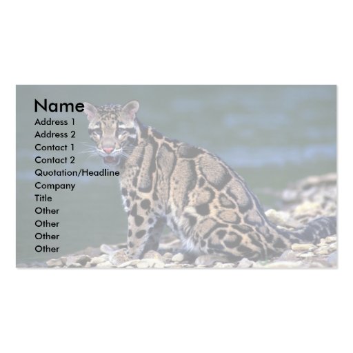 Clouded Leopard-eye contact Business Card Templates