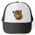 Clouded Leopard hats by kphotos Clouded Leopard hats