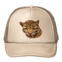Clouded Leopard hats