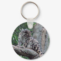 Clouded Leopard keychains by Abintra Clouded Leopard keychains