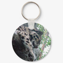 Clouded Leopard keychains by Abintra Clouded Leopard keychains