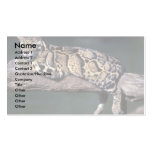 Clouded Leopard on log Business Card Templates