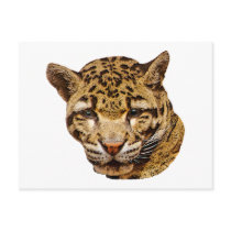 Clouded Leopard postcards by kphotos Clouded Leopard postcards
