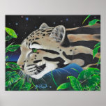 Clouded Leopard Posters