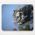 Clouded Leopard-small cub on log in river mousepads