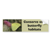 Cloudless Sulphur butterfly bumper sticker bumper stickers