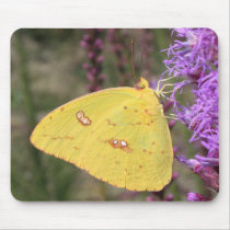 Cloudless Sulphur Butterfly mousepads by shadyoakbutterfly Cloudless Sulphur Butterfly mousepads