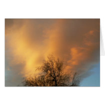 Clouds Afire! cards by codfishlady Clouds Afire! cards