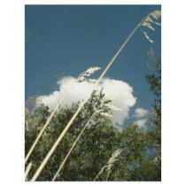 CLOUDS AND GRASS flyers by Calrichens CLOUDS AND GRASS flyers