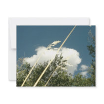 CLOUDS AND GRASS invitations by Calrichens CLOUDS AND GRASS invitations