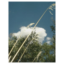 CLOUDS AND GRASS letterhead by Calrichens CLOUDS AND GRASS letterhead