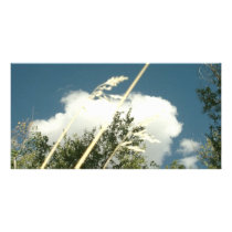 CLOUDS AND GRASS photo cards