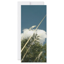 CLOUDS AND GRASS rack cards by Calrichens CLOUDS AND GRASS rack cards