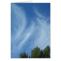 Clouds and trees cards