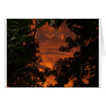 Clouds and Treetops cards by chemistrycourtney Clouds and Treetops cards