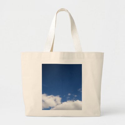 blue sky bags