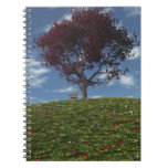 top notebook computers | japanese red maple, red maple, tree, flowers, japanese red maple, red maple, tree, flowers,