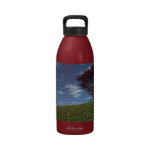 Clouds Go Sailing By Water Bottle