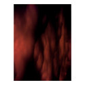 Clouds posters