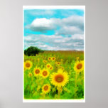 Clouds today,poster