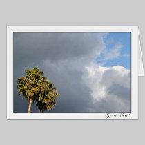 Cloudy Palms cards