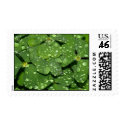 Clover 002 Postage postage