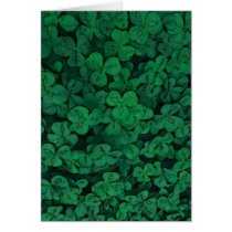Clover All Over Cards