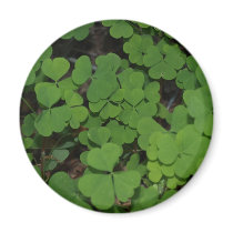 clover cluster magnets by bahastings83 clover cluster magnets