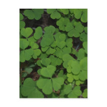 clover cluster postcards