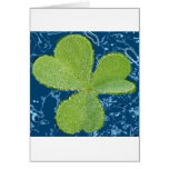 Clover Days Greeting Cards