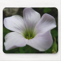 Clover flower mousepads
