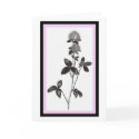 Clover Greeting Card by lpalen Clover Greeting Card