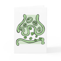 Clover Neurotransmitters cards