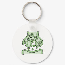 Clover Neurotransmitters keychains