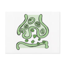 Clover Neurotransmitters postcards
