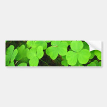 Clover Patch Bumper Sticker
