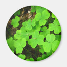 Clover Patch Magnet