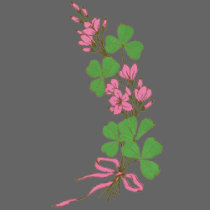Clover & Pink Flowers t-shirts