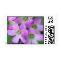 Clover postage