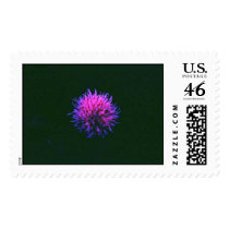 clover postage by gtk88594 clover postage