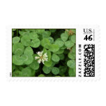 Clover with Bloom Postage Stamps
