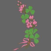 Clovers & Pink Flowers t-shirts
