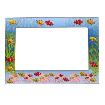 Clown Anemone Fish Reef Magnetic Frame