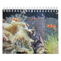clown around all year wall calendars