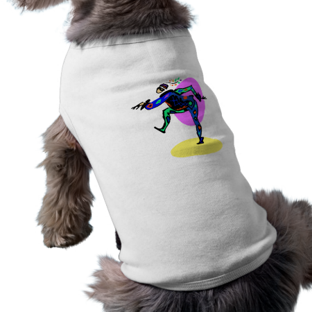 Clown dancer pet clothing