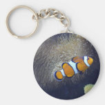 clown fish, 2 keychains