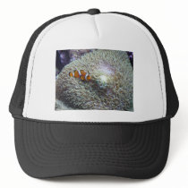 clown fish 3 trucker hats