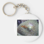 clown fish 3 keychain